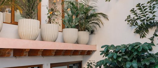 Artista_Cafe_5_Antigua_Guatemala