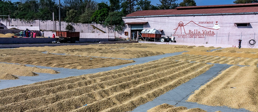 Bella_Vista_5_Guatemala