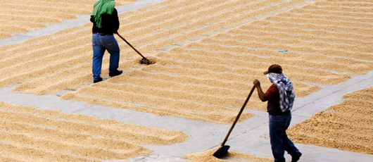 Bella_Vista_6_Guatemala