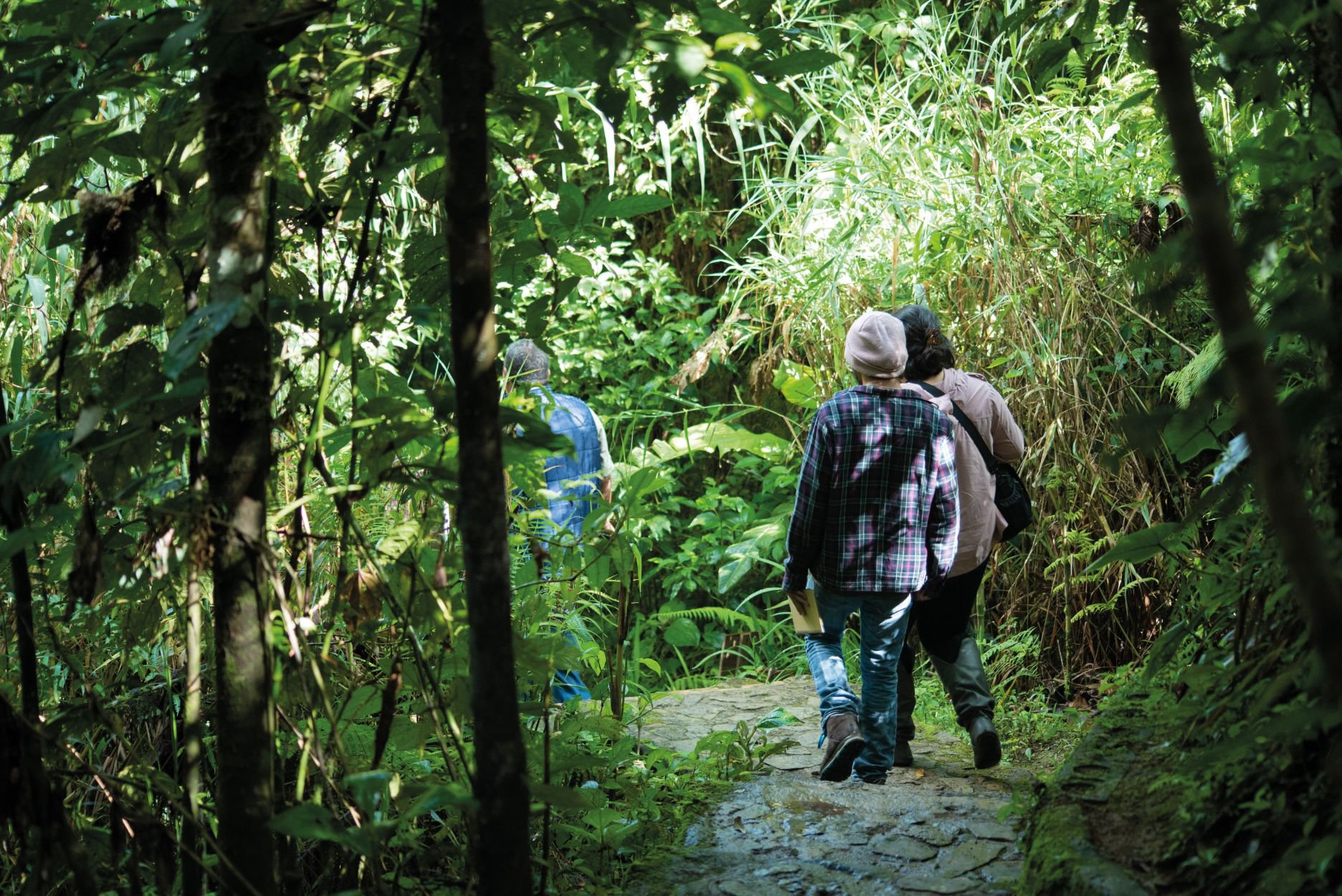 Biotopo-del-quetzal-Coban-Alta-Verapaz-Biotopo.jpg