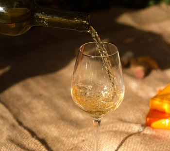 Chardonnay_Guateamala