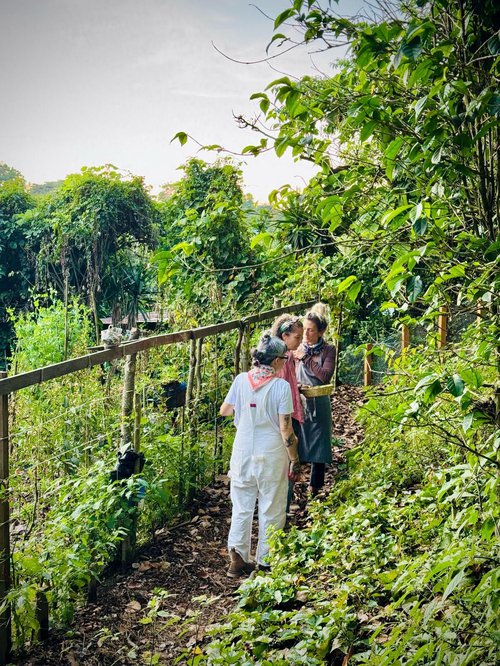 Cocina_De_Jardin_El_Salvador_Guatemala