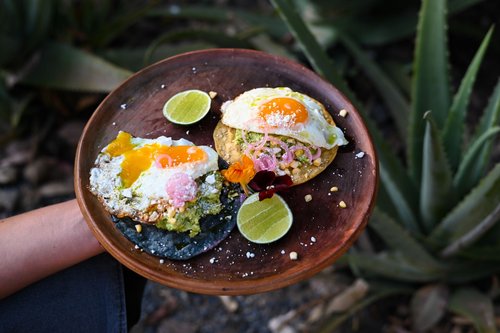 Wild Daughter brunch