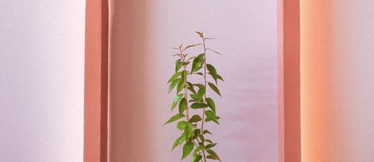 Dulce_3_Rosita_Guatemala