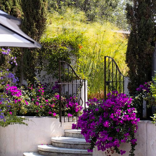 ElPatio_Antigua_Guatemala