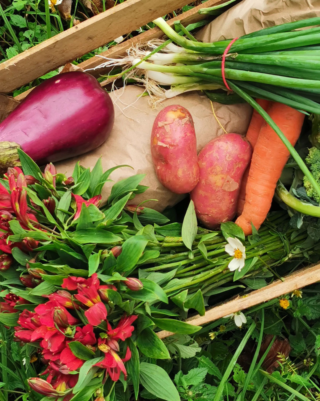 Flores y vegetales de agricultura regenerativa