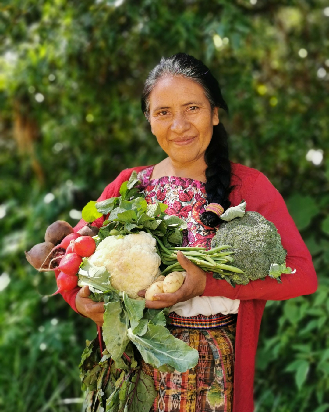 Cosecha de cultivos de Enverdece