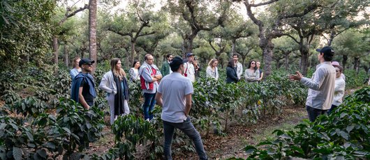 Evento-La-Cosecha-San-Migue-Coffes-Antigua-Guatemala