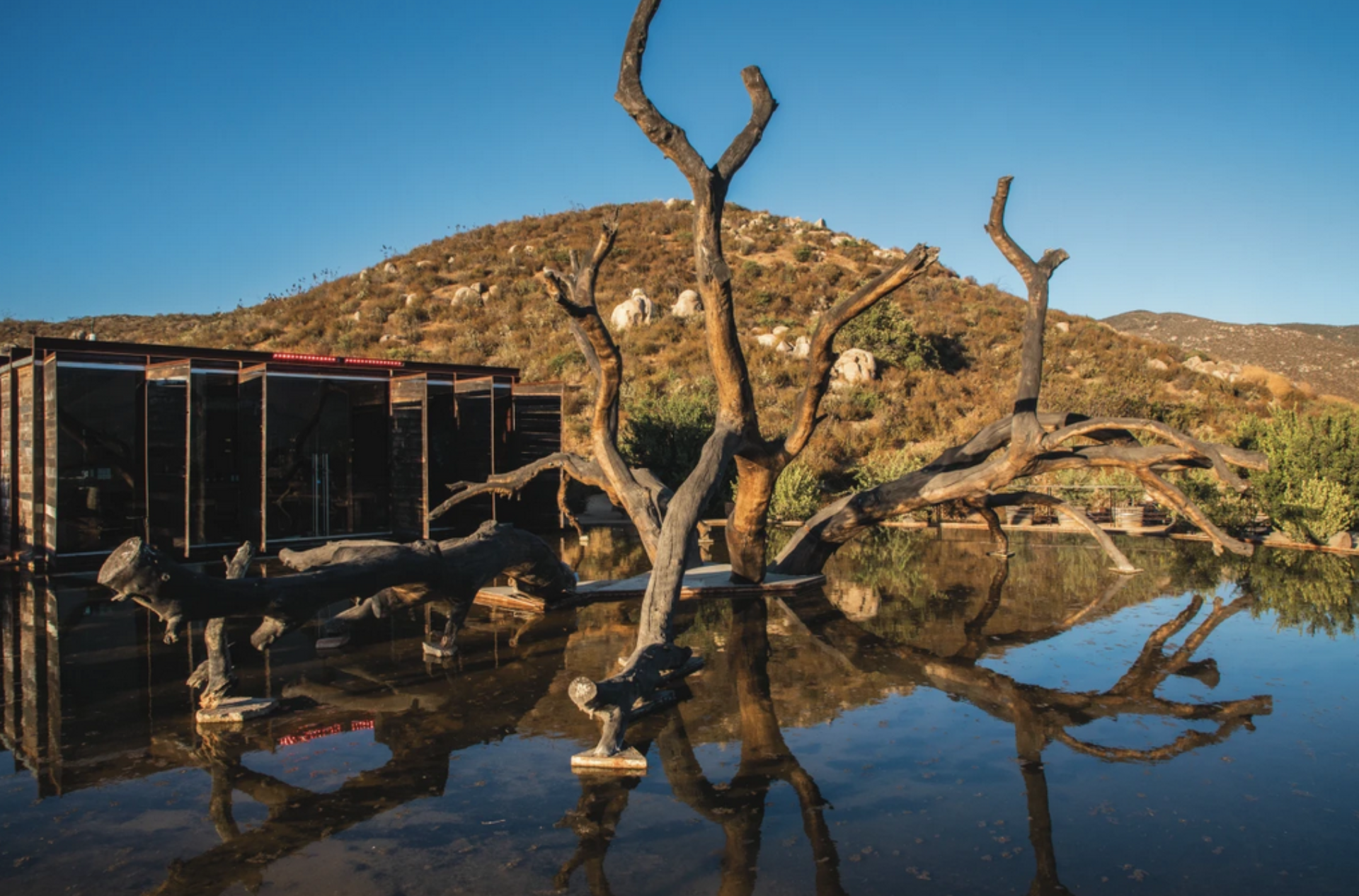 Fauna, restaurante de los chefs David Castro Hussong y Maribel Aldaco, entra a la lista extendida en la posición no. 100 (Valle de Guadalupe, Baja California)