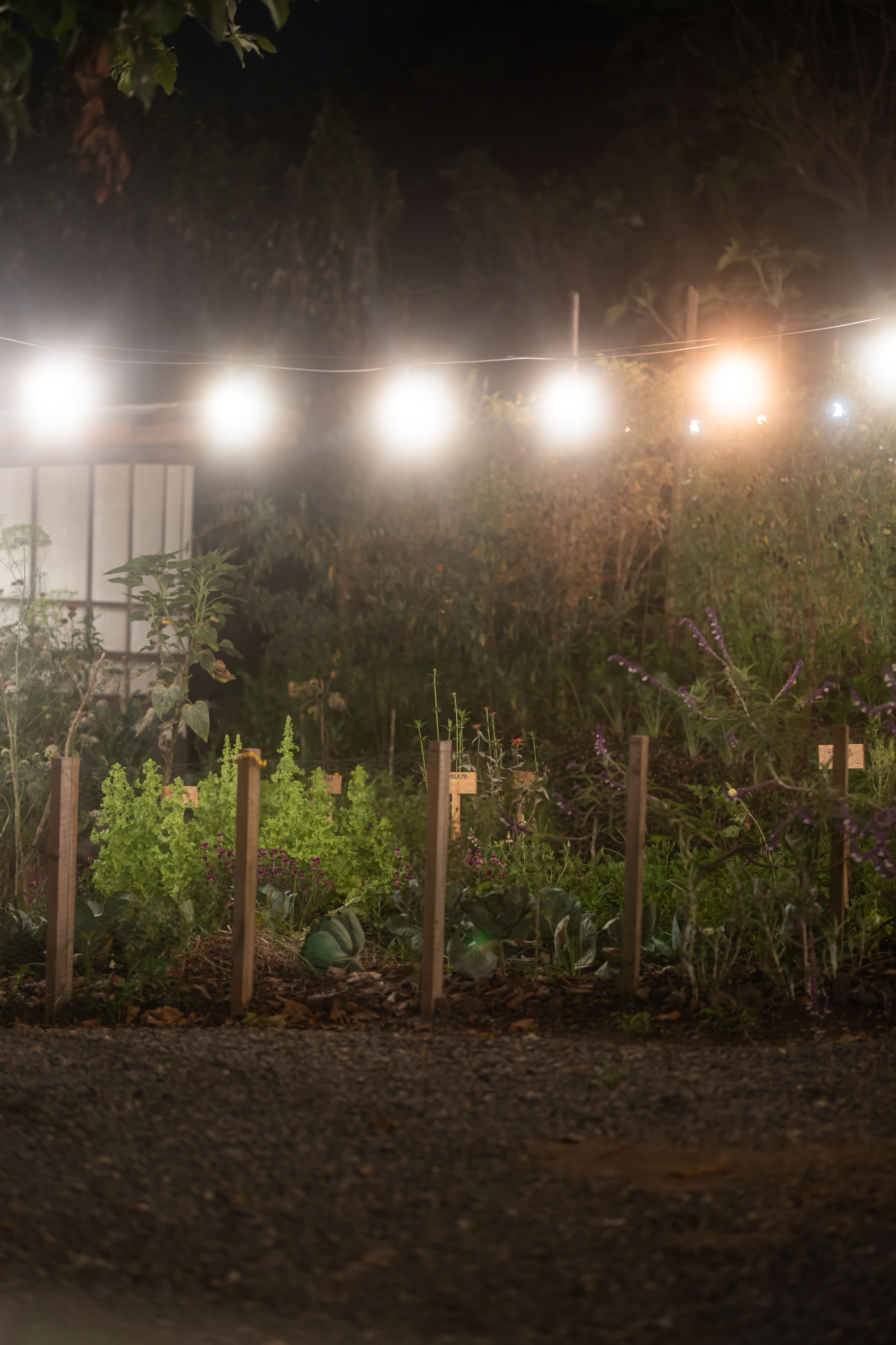 Huerto de Finca Sylvestris en el Volcán de San Salvador