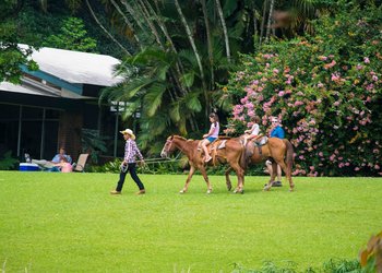 Finca_El_Zapote_Guatemala
