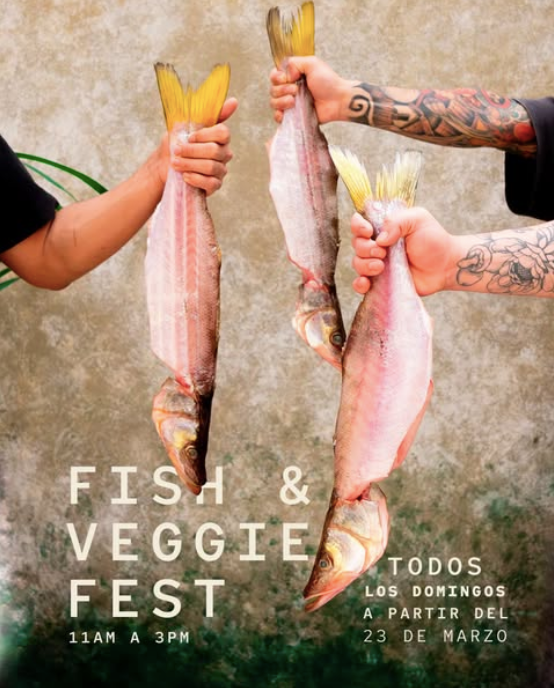 Fish_Fest_Guatemala