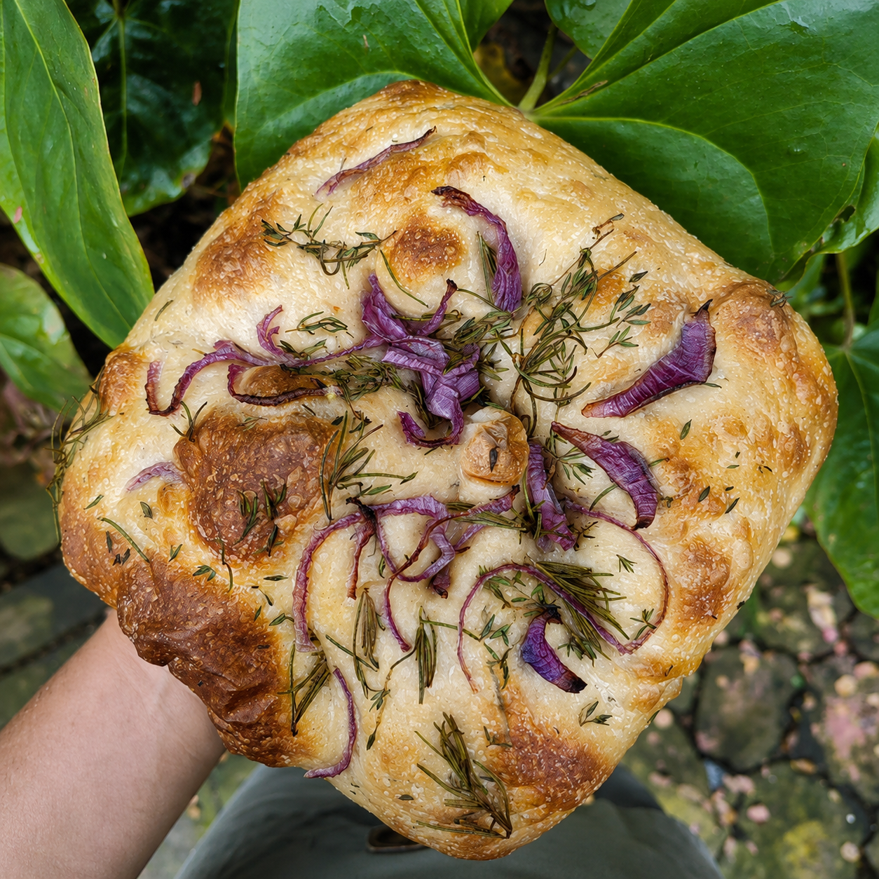 Focaccia_Wild_Bakery_Antigua_Guatemala