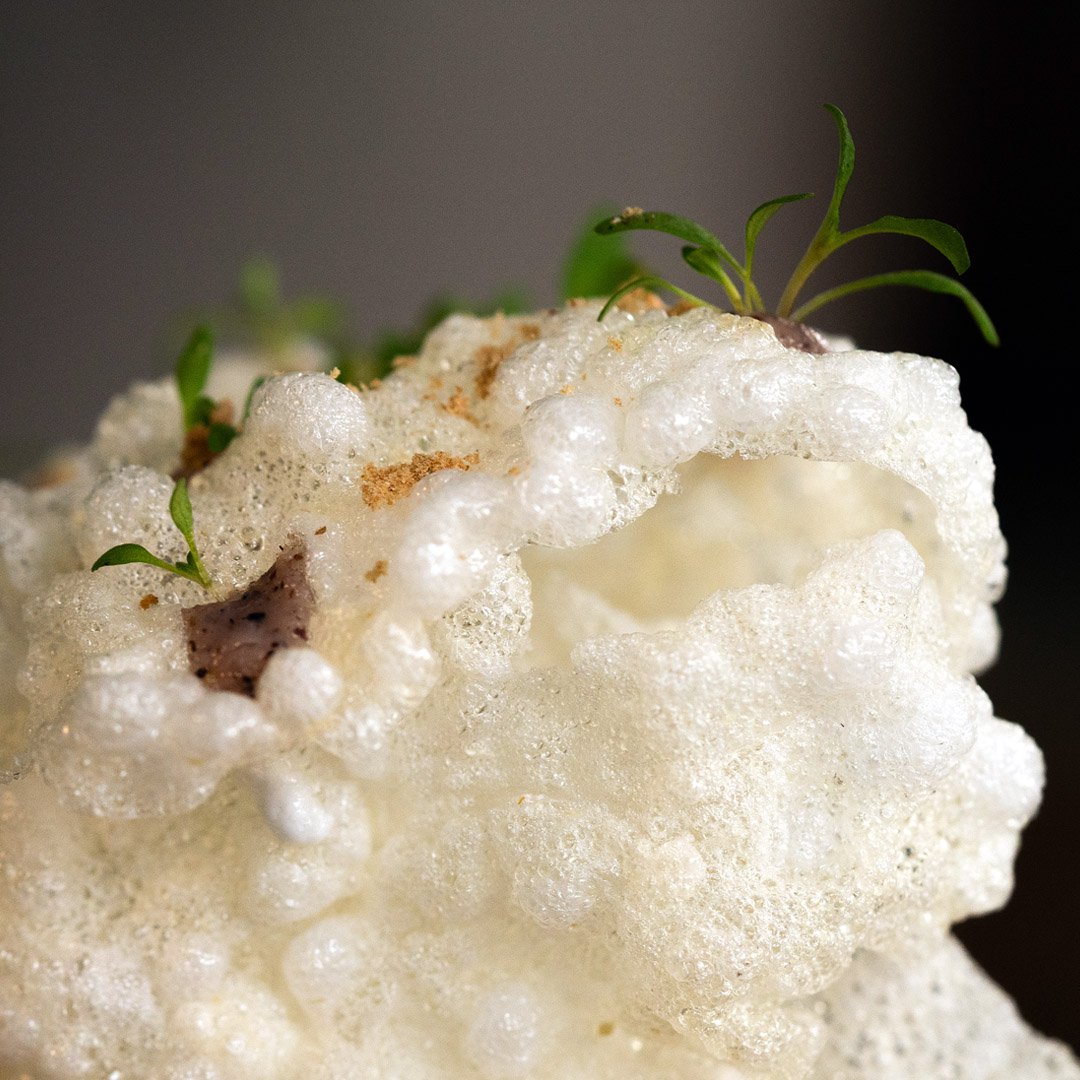 Souflado de maíz con crema de maíz pujagua y micro-greens de apazote.
