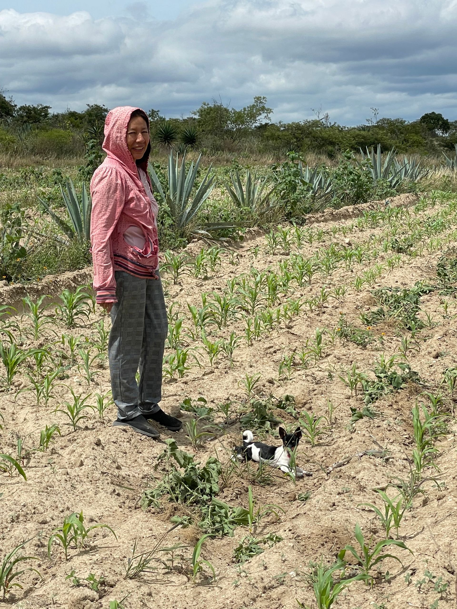 Mezcal_0_Beatriz_Maida_El_Salvador_Guatemala