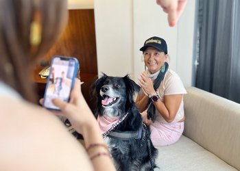 Hotel_Intercontinental_Pet_Friendly_Guatemala
