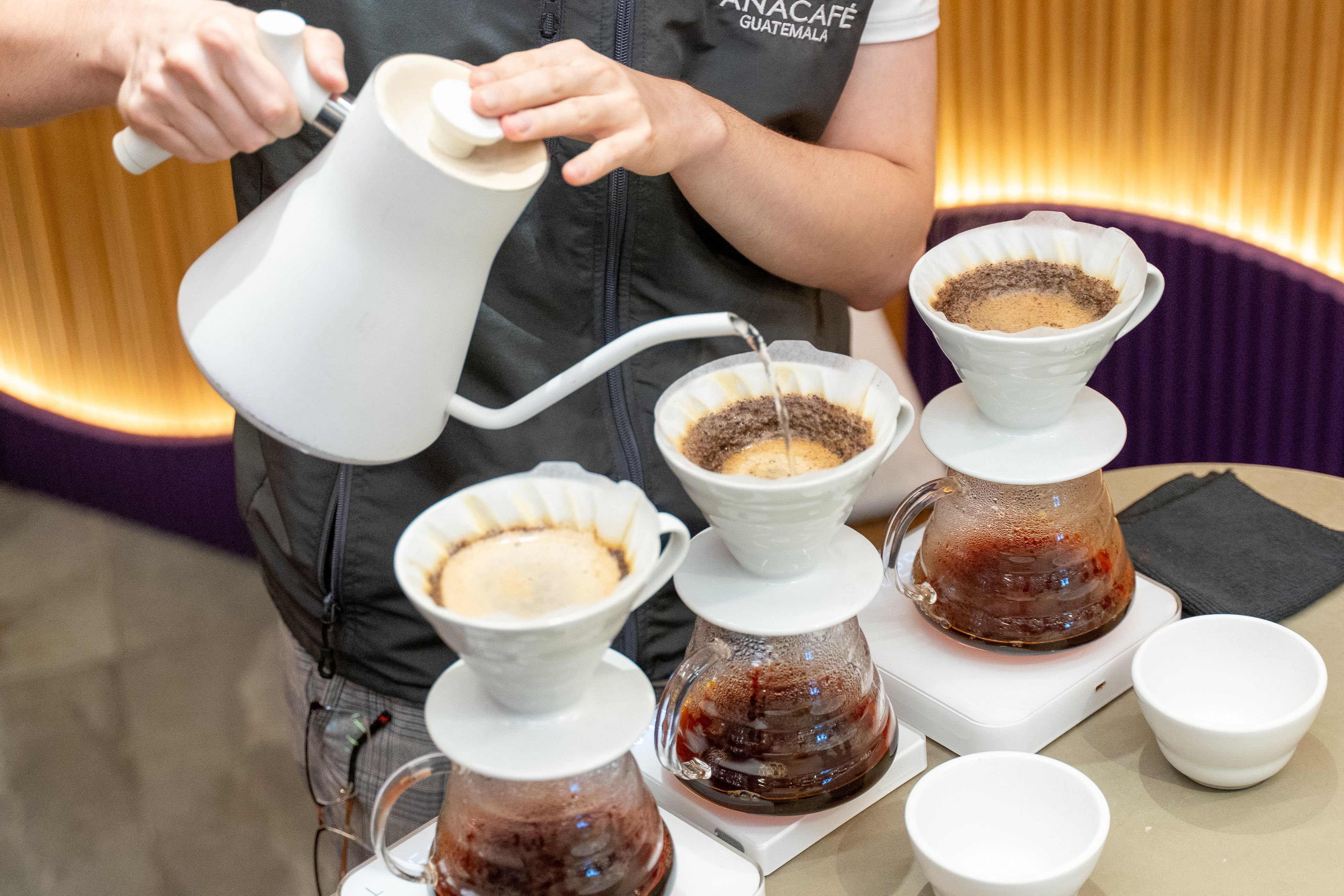 Café Maragogype de proceso natural