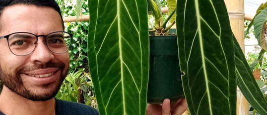 Selva_Cafe_Guatemala