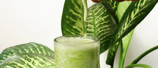 Serve_Hope_5_Guatemala