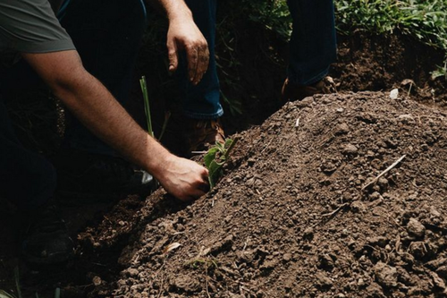 Utatlan_1_El_Salvador_Guatemala