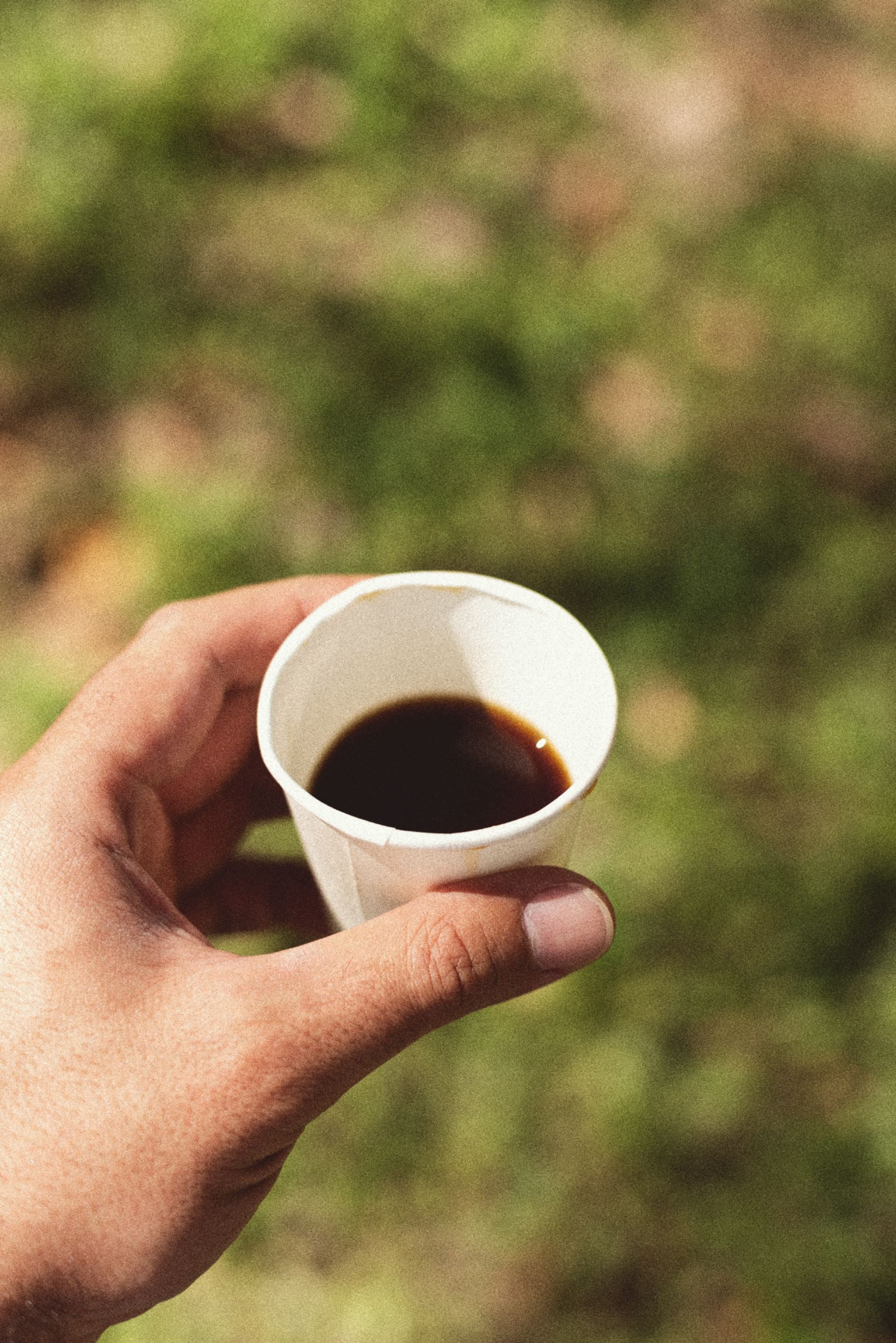 Café de especialidad de Finca San Jerónimo Miramar en Patulul, Suchitepequez, Guatemala