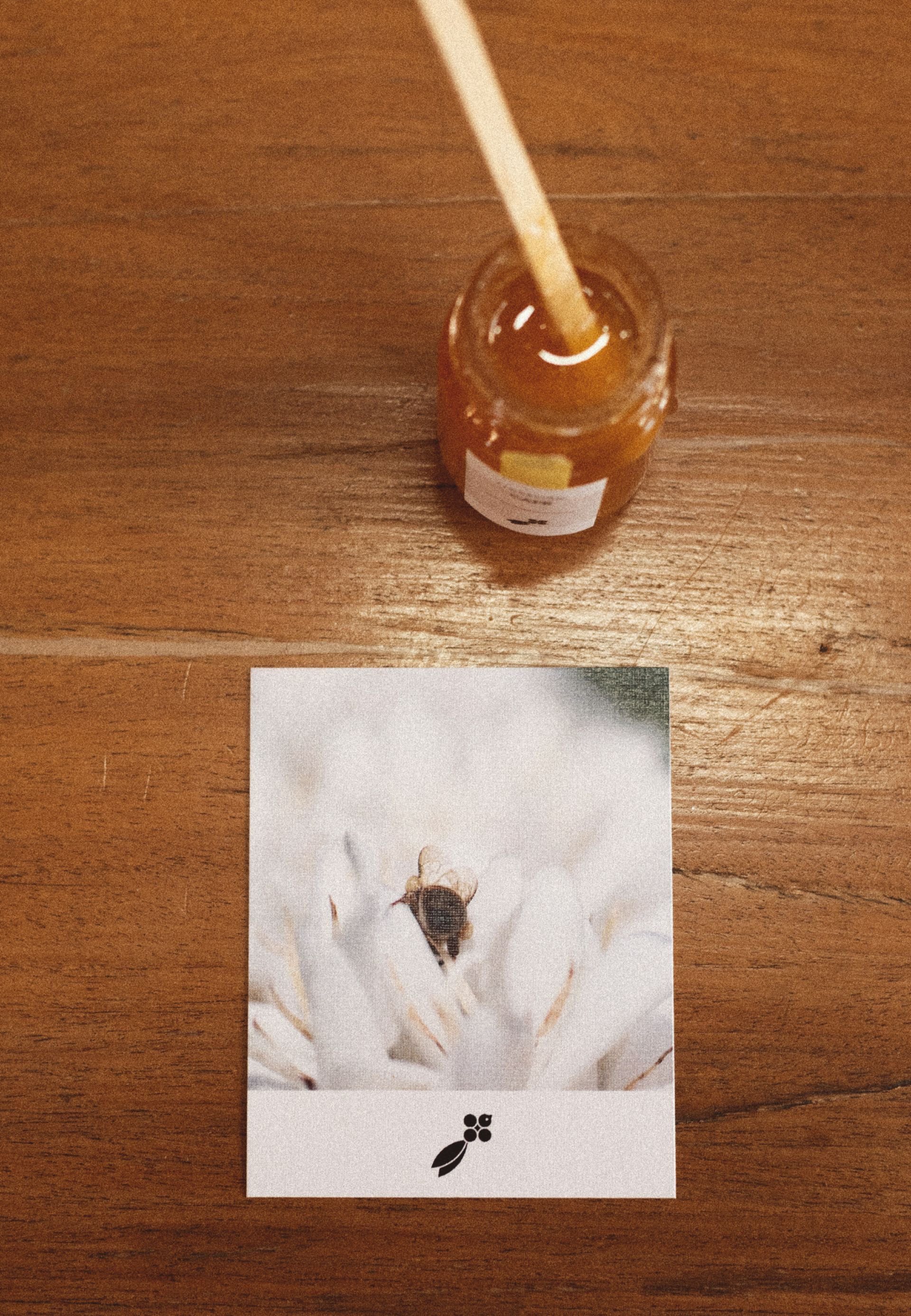 Miel de la Finca San Jerónimo Miramar, locación de Mujeres de Fuego Vol. 2