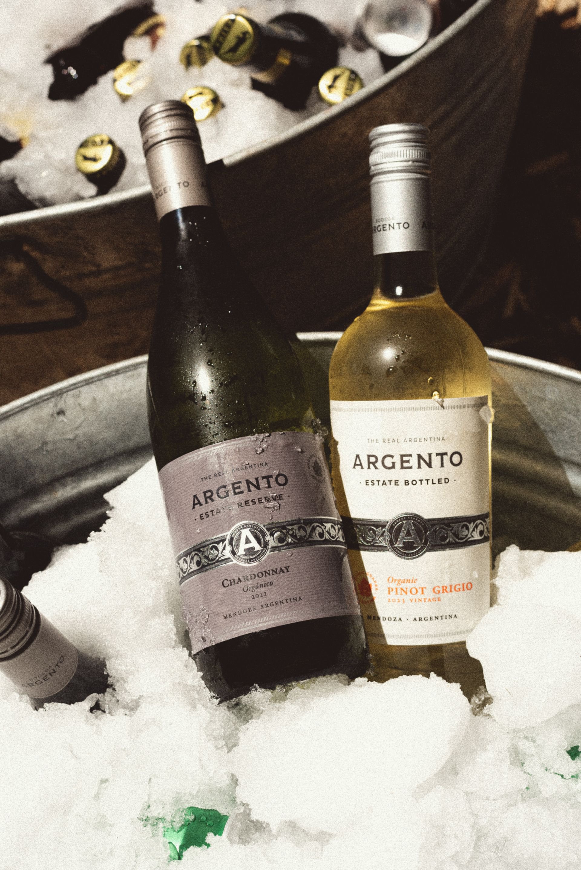 Selección de vinos de la colección exclusiva de Distribuidora Alcazarén en Mujeres de Fuego Vol. 2