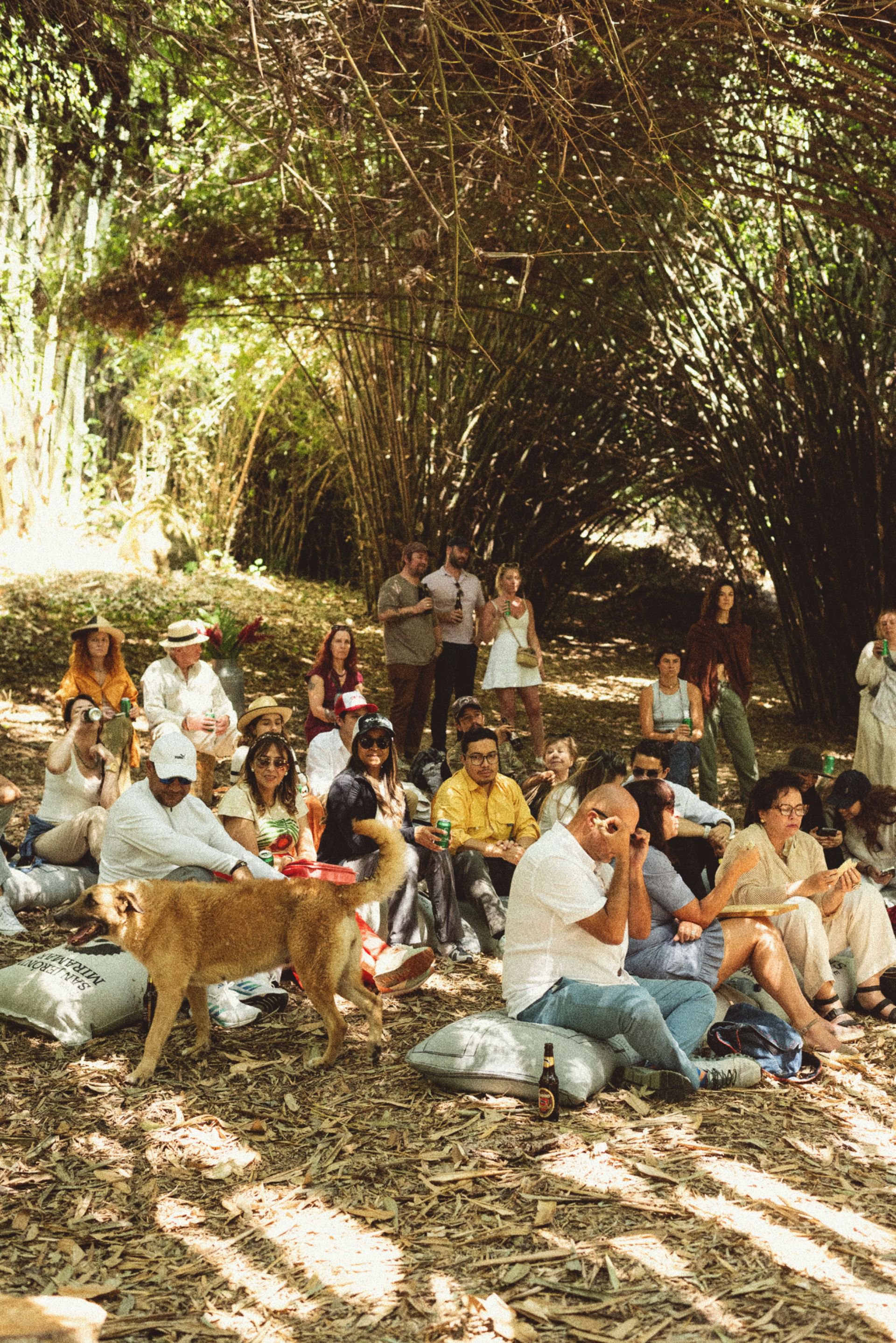 Comensales en la Biblioteca de Bambú de Finca San Jerónimo Miramar