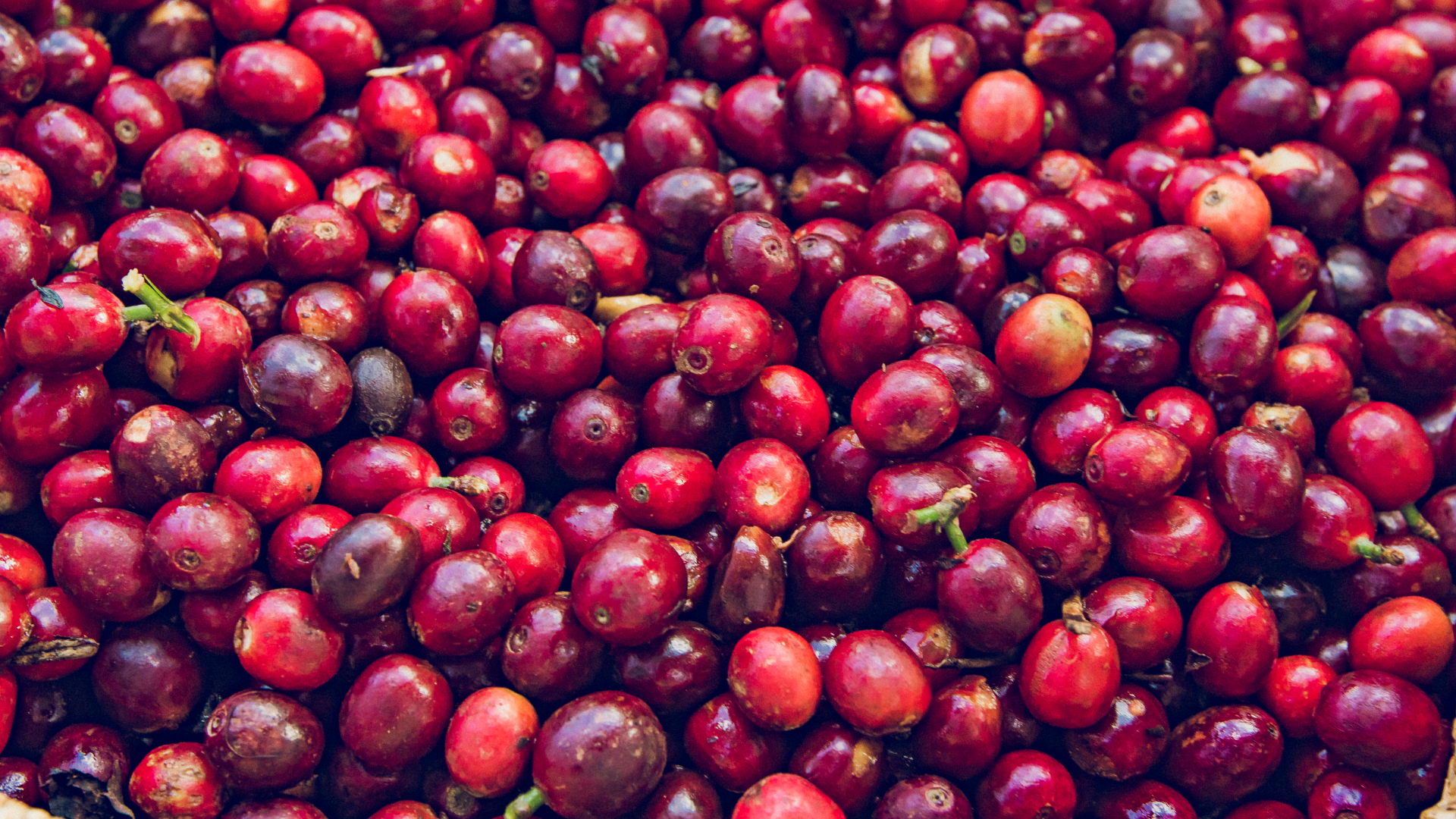 coffee-y-restaurante-cafe-sol-en-antigua-guatemala