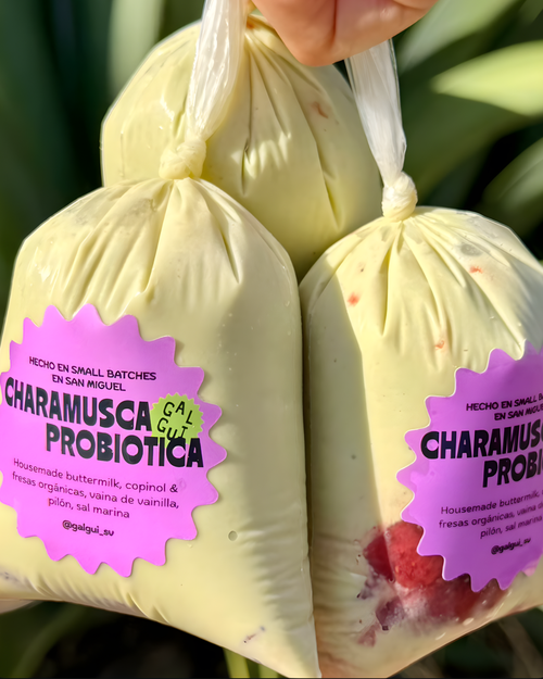 charamusca_galgui_guatemala