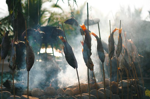 Cocina_Salvaje_Luis_Morales_El_Salvador_Guatemala